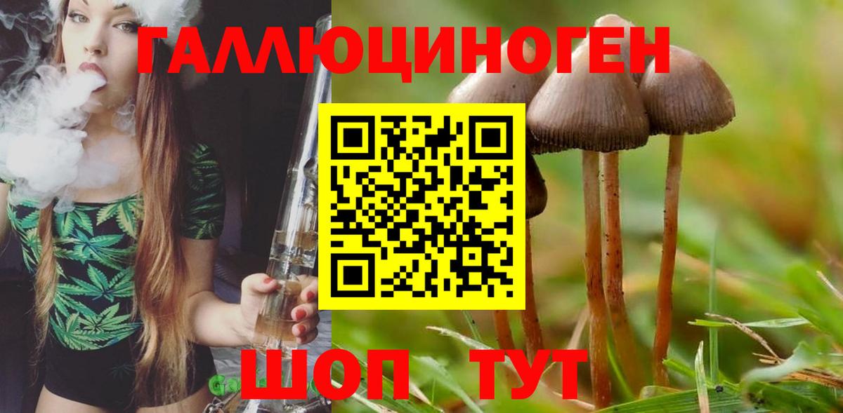 Галлюциногенные грибы прущие грибы Топки