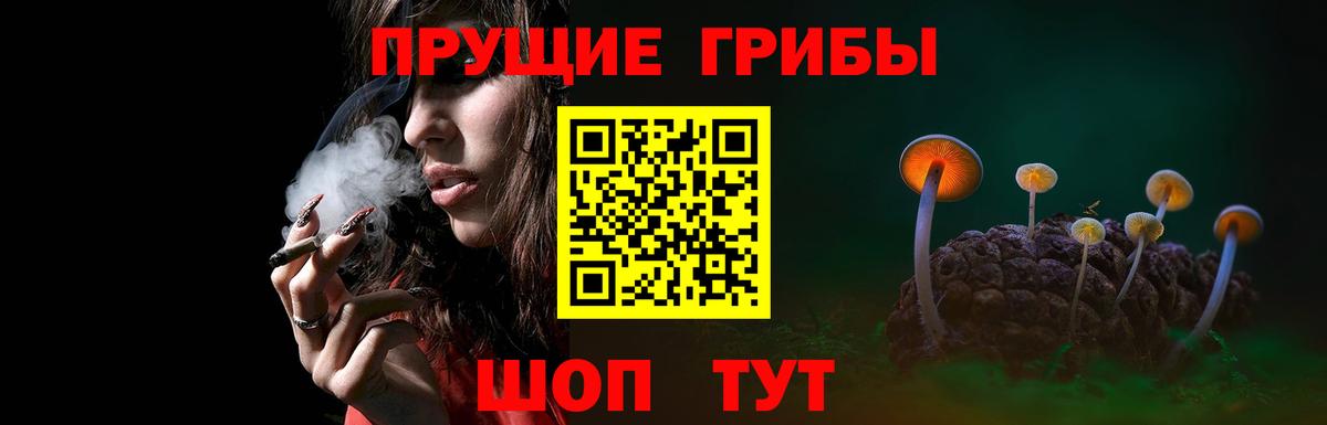 Псилоцибиновые грибы прущие грибы  Вход с VPN  Топки  Псилоцибиновые грибы GOLDEN TEACHER 